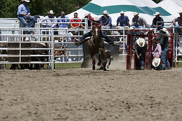 Image showing Rodeo