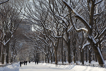 Image showing Central Park, New York. Beautiful park in beautiful city. 