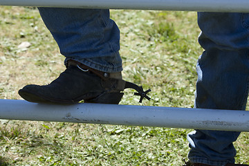 Image showing Rodeo