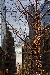 Image showing Big Apple at night