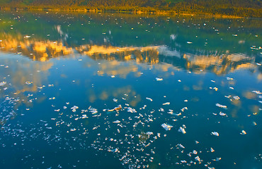 Image showing Amazing Alaska