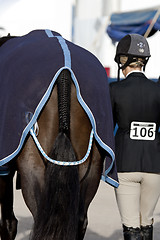Image showing Horse and jockey