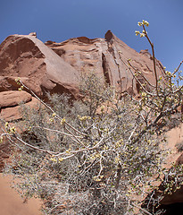 Image showing Monument Valley. USA