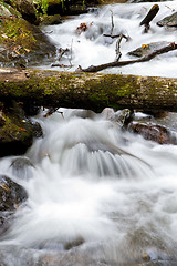 Image showing Forest waterfall in Helen Georgia.