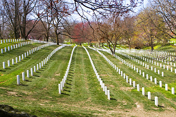 Image showing Arlington Cemetery. Washington DC