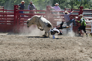 Image showing Rodeo