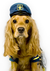 Image showing Police dog