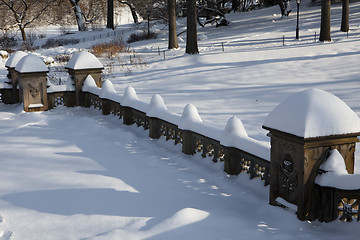 Image showing Central Park, New York. Beautiful park in beautiful city. 