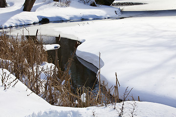 Image showing Stream in winter park