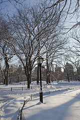 Image showing Central Park, New York. Beautiful park in beautiful city. 