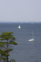 Image showing Sailing yacht 