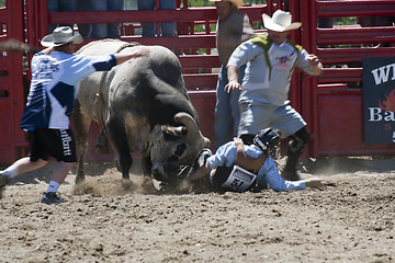 Image showing Rodeo