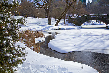 Image showing Central Park, New York. Beautiful park in beautiful city. 