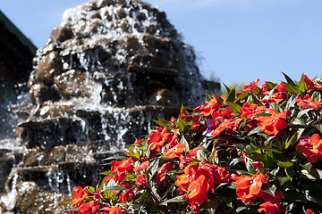 Image showing  Fountain with beautiful flowers 