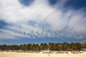 Image showing beach on the Caribbean