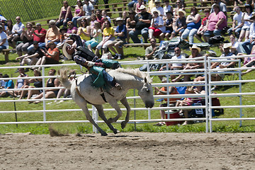 Image showing Rodeo