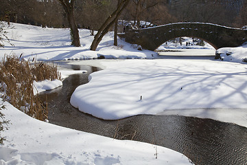 Image showing Central Park, New York. Beautiful park in beautiful city. 