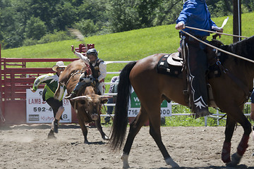 Image showing Rodeo