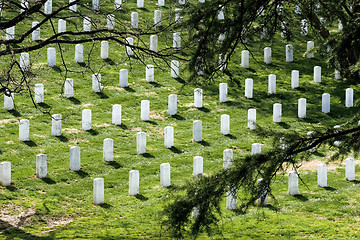 Image showing Arlington National Cemetary