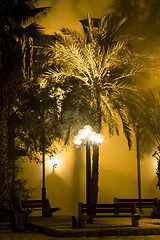 Image showing Old Yaffo park. Israel