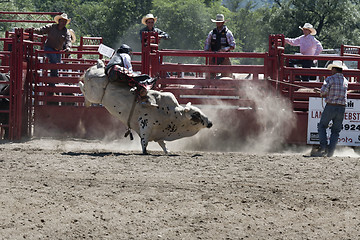 Image showing Rodeo