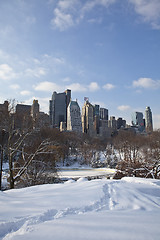 Image showing Central Park, New York. Beautiful park in beautiful city. 