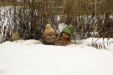 Image showing Frozen Gnomes