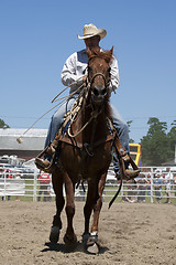 Image showing Rodeo