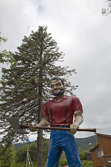 Image showing lumberjack