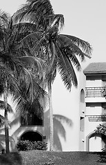 Image showing Tropical house surrounded by  palm-trees