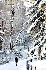 Image showing Central Park, New York. Beautiful park in beautiful city. 