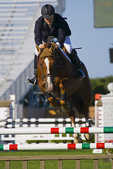 Image showing show jumping 