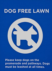 Image showing Sing- Dog free lawn