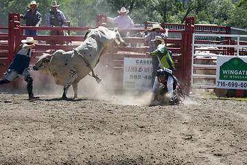 Image showing Rodeo