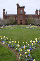 Image showing Spring in Washington 