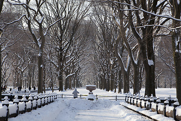 Image showing Central Park, New York. Beautiful park in beautiful city. 