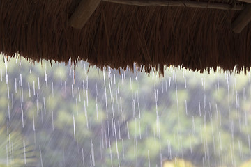 Image showing Raining