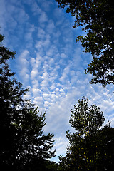Image showing  clouds in the blue sky 
