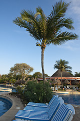 Image showing Sun-chaira on resorts pool side 