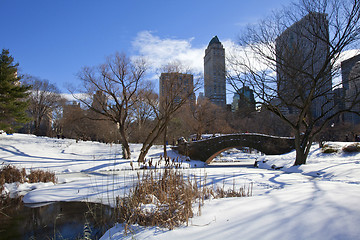 Image showing Central Park, New York. Beautiful park in beautiful city. 