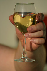 Image showing relaxing  with a glass off wine