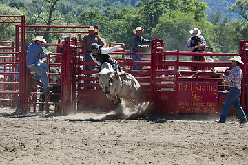 Image showing Rodeo