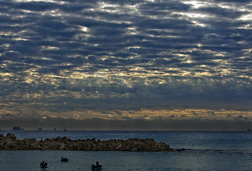 Image showing Pelicans on rock in the morning 