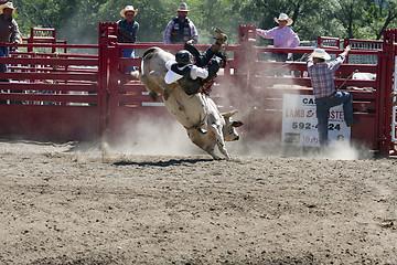 Image showing Rodeo