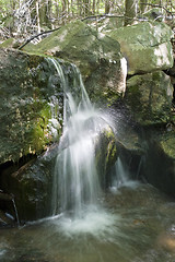 Image showing Forest stream