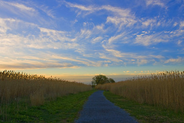 Image showing Sunrise. Silent Place