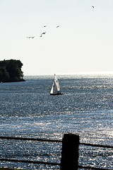 Image showing Sailing Yacht 