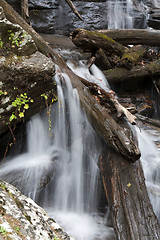 Image showing Forest waterfall in Helen Georgia.