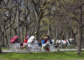 Image showing Central Park, New York. 