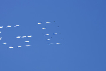 Image showing Several  planes performing in an air show